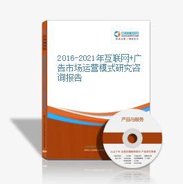 2016-2021年互聯(lián)網(wǎng)+廣告市場(chǎng)運(yùn)營(yíng)模式研究