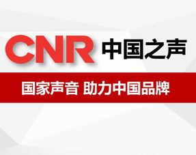 北京廣告咨詢 城市脈動(dòng)下的品牌策略與市場洞察